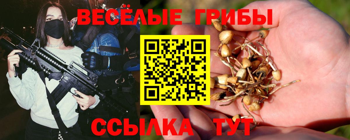 Галлюциногенные грибы мухоморы Серов